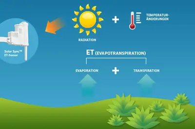 Evapotranspiration - erklärendes Schema
